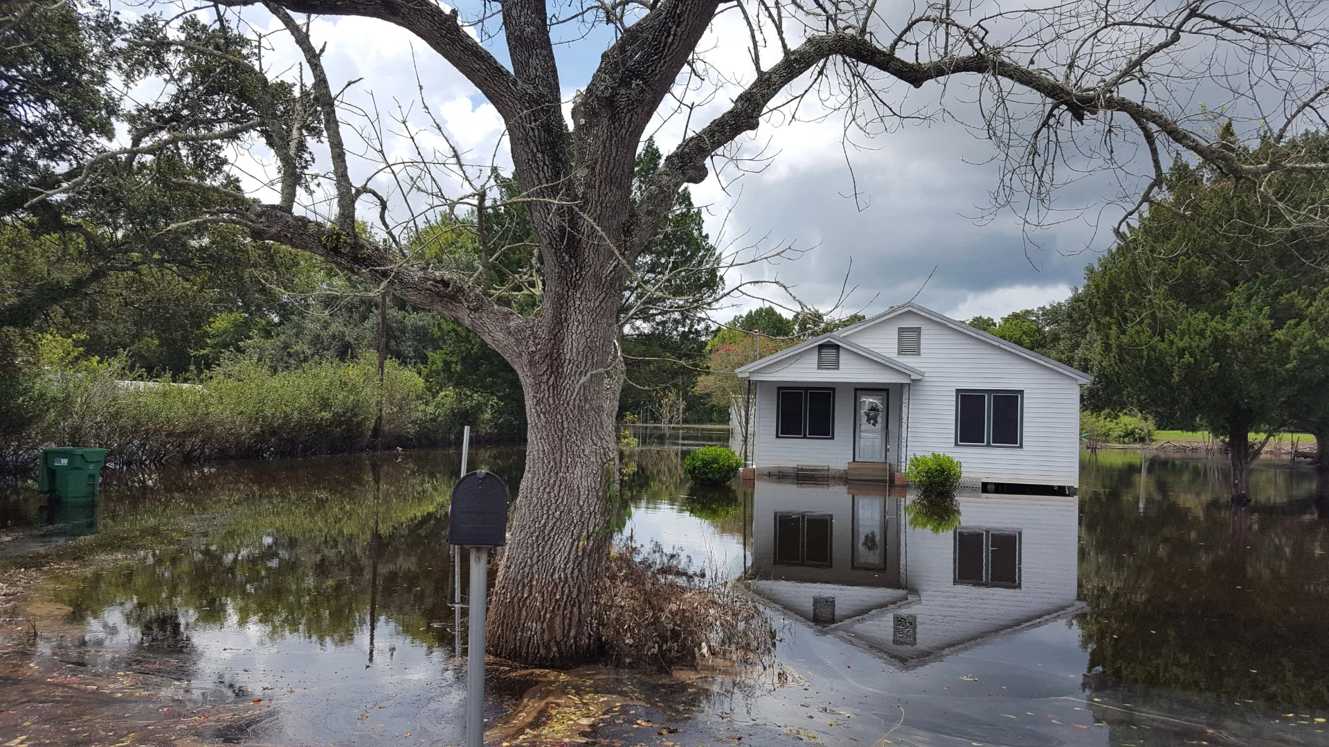 Remote Inspection Software