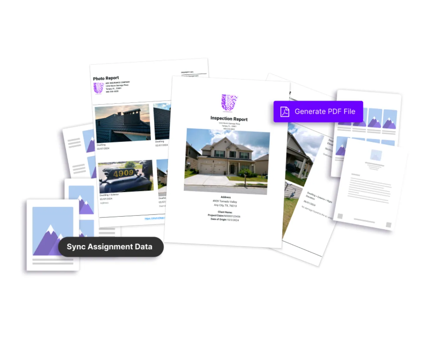 Remote Inspection Software